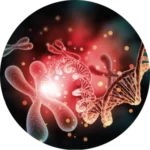HGH en Peptides